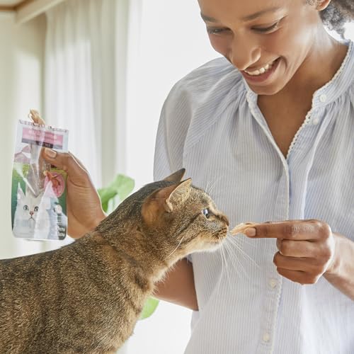 INABA Premium Grilled Chicken Fillet Cat Treats with Vitamin E and Green Tea Extract, 0.9 Ounces Each, Pack of 10, Variety Box