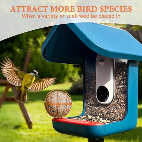 Metal Suet Ball Holder for Bird Buddy, Compatible with BirdBuddy Smart Feeders & Others with Ready 5mm Screw Hole, Durable Accessory & Add-on