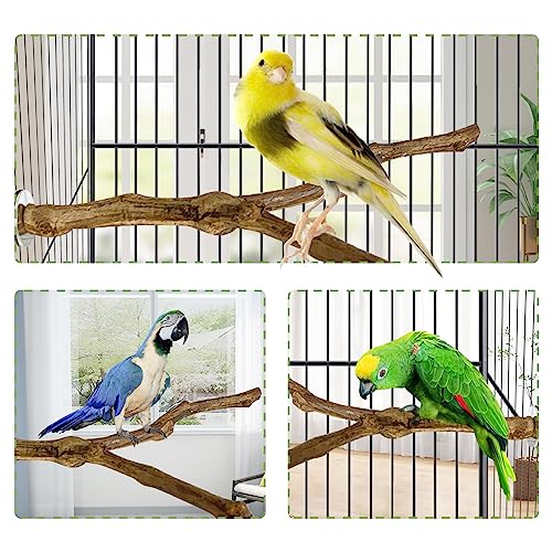 kathson Natural Parrot Perch Bird Stand Pole Wild Grape Stick Paw Grinding Fork Parakeet Climbing Standing Branches Toy Chewable Cage Accessories for