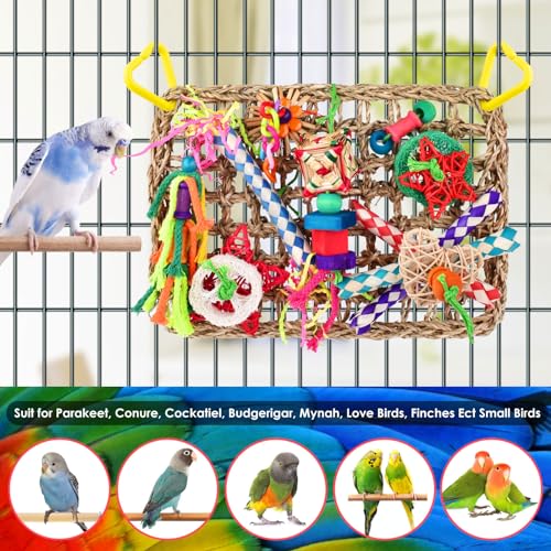 KATUMO Bird Toys, Bird Foraging Wall Toy, Edible Seagrass Woven Climbing Hammock Mat with Colorful Chewing Toys, Suitable for Lovebirds, Finch