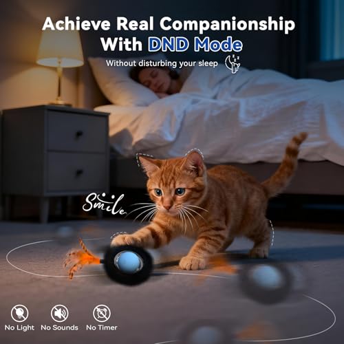Interactive Cat Toy with Motion Activated Ball & 7-Hole Play Mat, Hide and Seek Exercise Game for Indoor Cats, Automatic Moving Cat Ball in Pouch