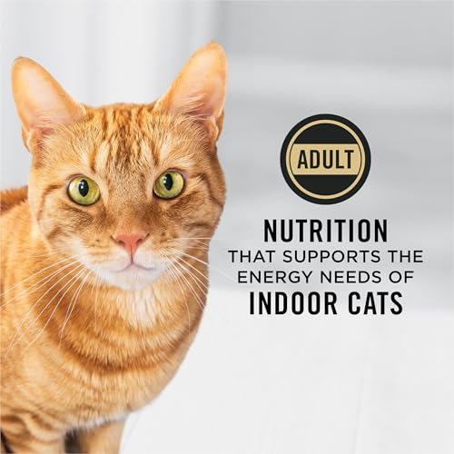 Purina Pro Plan Hairball Management, Indoor Cat Food, Salmon and Rice Formula - 7 lb. Bag