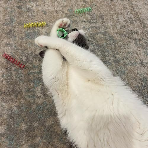 SPOT Colorful Springs Cat Toys – 3" Bouncy Coils for Indoor Cats & Kittens to Swat, Chase & Bite, Safe Lightweight Plastic, Interactive Enrichment
