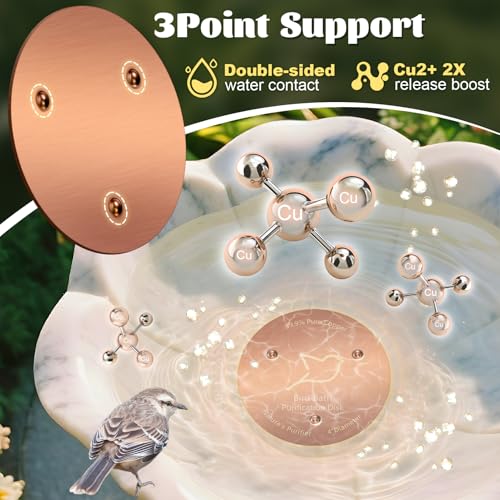 NNG 1 Pack Bird Bath Copper Disk,0.6mm Thick Reinforced 99.9% Pure Copper Bird Bath Purification Disk with Triple-Point Support,Physical Safe Water