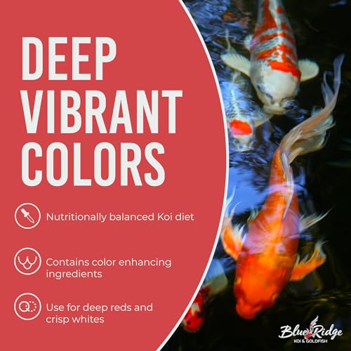 Blue Ridge Koi Fish Food 4.5lb - Koi Food 3/16” Platinum Pro Formula Goldfish Food, Premium Fish Food for Ponds, Ponds Fish Food, Floating Pond Pellet