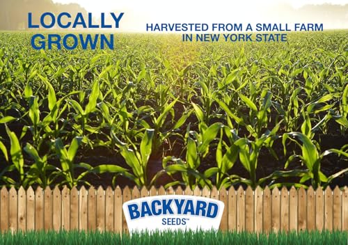 CountryMax Backyard Seeds Cracked Corn 50lbs - High-Energy Animal Feed for Chickens, Squirrels, Deer & Wild Birds, Ground Feeding, High Protein