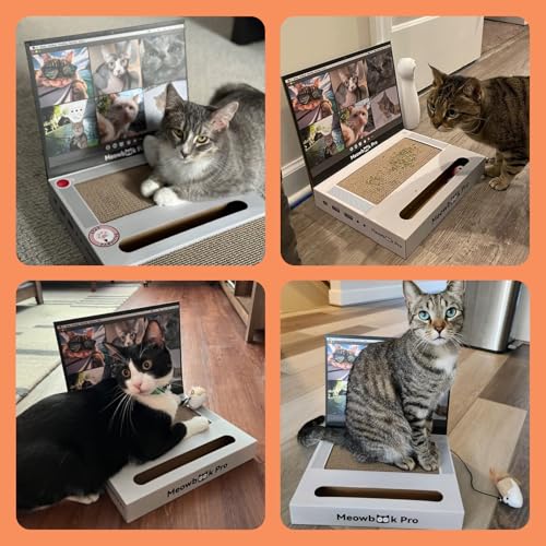 Cat Scratcher Laptop Cat Toy with 'Mouse' Jingle Ball, Stickers, 3-in-1 Cardboard Cat Interactive Toy, Kitten Cardboard Scratching Pad