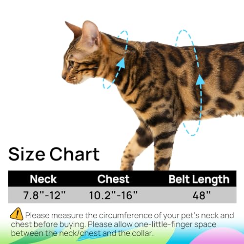 Cat Harness and Leash Set - Escape Proof Adjustable Cat Harness, Comfortable Soft Lightweight, Use Safe & Easy, Walking Travel Kitten Harness for