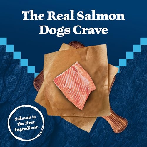 Blue Buffalo Wilderness Trail Treats Crunchy Dog Biscuits, Grain-Free and High-Protein Dog Treats Made with Natural Ingredients, Salmon Recipe 24-oz