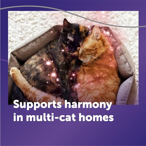 FELIWAY Optimum Cat Calming Diffuser Refill (3 Pack, 90 Day Supply) – Cat Pheromone Diffuser Refill for Advanced Support to Reduce Stress, Spraying