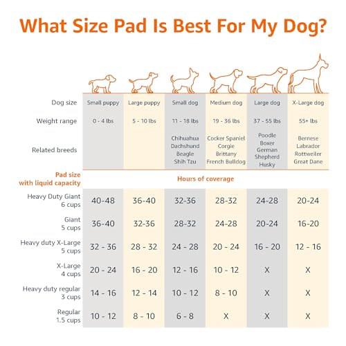 Basics Leak-Proof Dog and Puppy Potty Training Pee Pads with Quick-Dry 5-Layer Super Absorbent Design, Regular Size 22 x 22 inch, Blue & White, 100