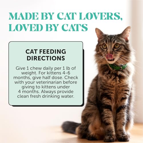 Fresh Breath Dental Bites for Cats – Crunchy & Creamy Cat Dental Treats for Fresh Breath, Tartar & Plaque Control – Dual-Texture Cat Oral Care Bites