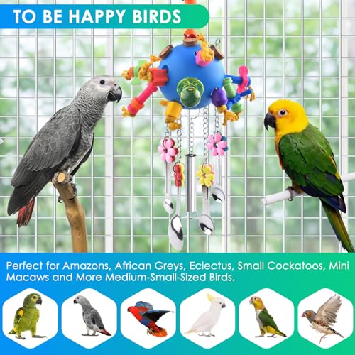 KATUMO Bird Toys, Parrot Pull Spoons Colorful Acrylic Stick Toys Bird Chew Toys for  Parrot, African Grey, Conure, Caique, Quaker, Small Cockatoo