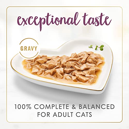 Purina Fancy Feast Gravy Lovers Chicken Feast in Grilled Gourmet Wet Cat Food – (Pack of 24) 3 oz. Cans