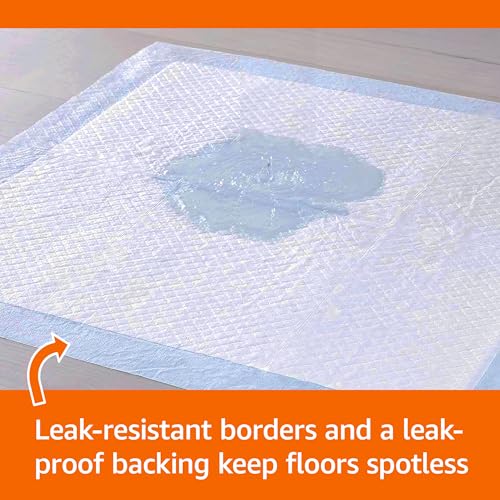 Basics Leak-Proof Dog and Puppy Potty Training Pee Pads with Quick-Dry 5-Layer Super Absorbent Design, Regular Size 22 x 22 inch, Blue & White, 100