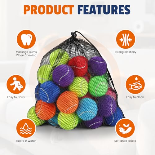 FURWEY Tennis Balls for Dogs 16 Pack,2.5 inches,Durable and Non-Toxic Dog Toys Balls with Mesh Bag,Colorful Fetch Toys Balls for pet Dog (Non Squeaky)