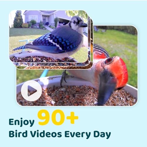 NETVUE by Birdfy Smart Bird Feeder with Camera – AI Identifies Birds Species 2MP Night Vision & App Alerts, 2.4Ghz Wi-Fi Connect IP65 Weatherproof