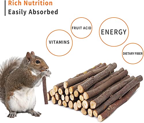 700g Apple Sticks Molar Wood Treats, Rabbit Toys Chinchilla Guinea Pig Bunny Toys Wood Chews Sticks for Teeth Rabbit Food Guinea Pig Hamster Gerbil