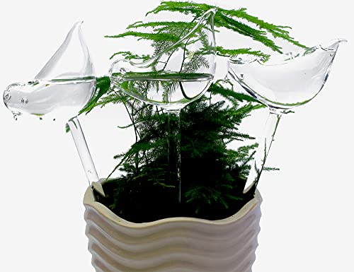 Glass Plant Watering Globes, Self Watering Globes Bird Shape, Self Watering Planter Insert, Plant Watering Devices, Automatic Plant Waterer Indoor
