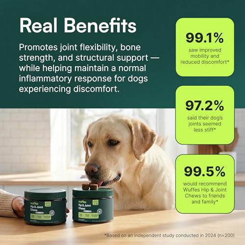 Wuffes Advanced Dog Hip and Joint Supplement with Glucosamine, Chondroitin, Omega 3, MSM, and Green Lipped Mussel, 60 Pork Flavored Chews for Small