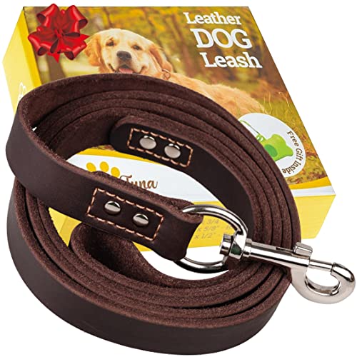 ADITYNA Leather Dog Leash 6 ft x 3/4 inch - Soft, Strong, Heavy Duty for Large & Medium Breeds - Dog Lead for Walking, Training, Hiking and Running