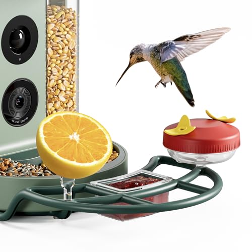 Complete Bird Feeder Accessory Kit DIY Add-Ons Including Mini Hummingbird Feeder, 2 Fruit Holders, Jelly Feeder, Compatible with Kiwibit Smart Bird