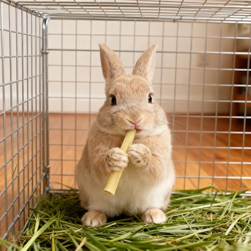 emours Natural Bamboo Teeth Chews for Rabbits Chinchilla Guinea Pigs Sugar Gerbils and More Small Pets,500g