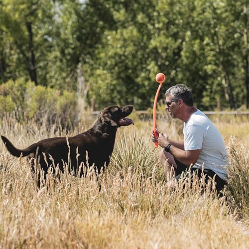 Chuckit! Sport 26L Dog Ball Launcher - Includes a 3-inch Diameter Large Ball for Dogs 60-100 Pounds - Manual Thrower for Dog Balls With a Slim