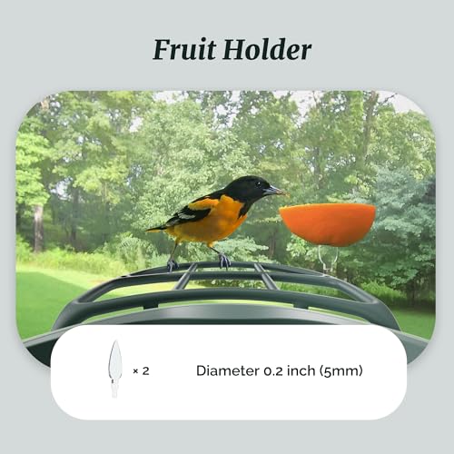 Complete Bird Feeder Accessory Kit DIY Add-Ons Including Mini Hummingbird Feeder, 2 Fruit Holders, Jelly Feeder, Compatible with Kiwibit Smart Bird