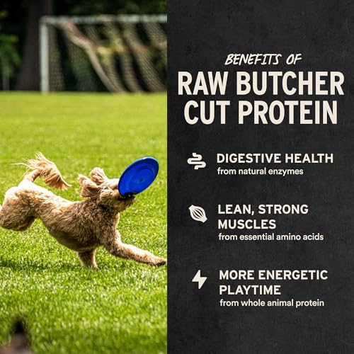 Vital Essentials Freeze Dried Dog Treats | Rabbit Bites, Single Protein | Premium Quality | Grain Free Training Treats for Dogs, 2 oz Bag