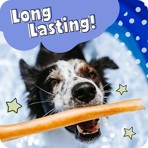 Pawstruck All Natural 11-12" Roasted Collagen Sticks for Dogs – Low Odor & Long-Lasting Bully Stick & Rawhide Alternative, Single Ingredient, Vet