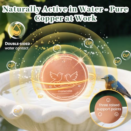 Bird Bath Copper Disk, 4 Inch 0.6mm Thick 99.9% Pure Copper Disc with Triple-Point Support, Natural Water Cleaner for All-Season Use, Universal Fit