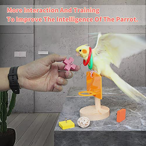 Bird Toys,Parrot Training Toys for Lovebird,Five-Types Parakeet Toys Sets for Conure, Cockatiel,12 PCS Parrot Intelligence Toy,Basketball