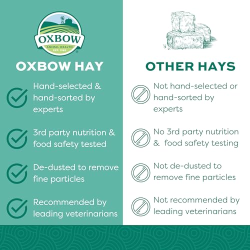 Oxbow Orchard Grass Hay for Small Pets – All-Natural Long Strand Fiber Hay for Rabbits, Guinea Pigs, Chinchillas, and Hamsters – Supports Digestive