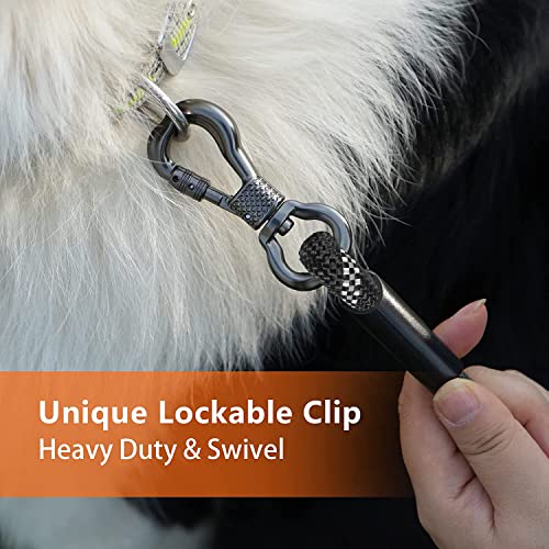 NTR 30 FT Dog Leash, Obedience Recall Training Agility Lead, with 2 Swivel Hooks, Reflective Threads and Soft Handle, Puppy Leash for Walking