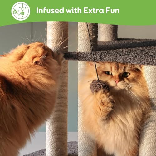 Pawque Dog Stairs & Cat Scratching Post Pet Steps for High Beds Couch, High-Strength Boards Holds up to 150 lbs for Indoor Small Cats Kittens Dogs