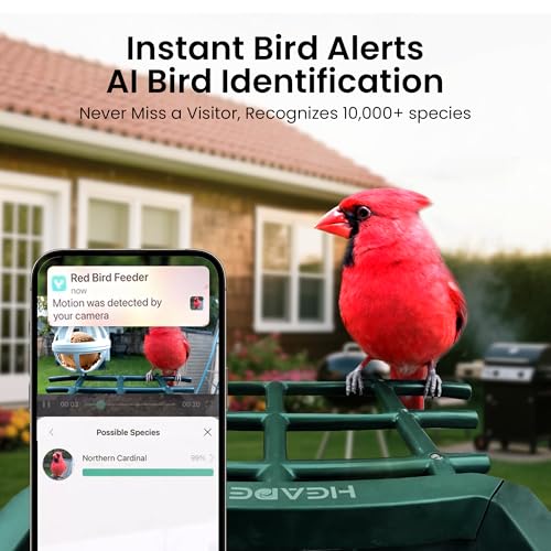 Smart Bird Feeder with Camera Solar Powered, 2K HD Video, AI Bird Species Identification, Instant Arrival Alerts, Weatherproof Design for Effortless