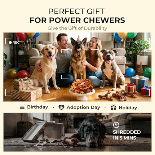 Kseroo 3-Pack Indestructible Dog Chew Toys for Aggressive Chewers: Bacon Flavored Rock-Hard Solid Nylon, Tough Dog Bones for Medium/Large Dogs