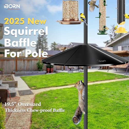 iBorn Squirrel Baffle for Bird Feeder Pole, 19.5” Oversized Squirrel Guard Defender, Bird Feeder for Outdoors Protector, Polycarbonate(PC), Pack of