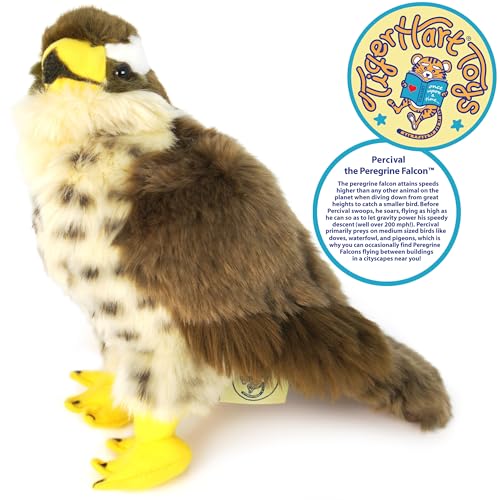 TigerHart Percival the Peregrine Falcon | 10 Inch Hawk Stuffed Animal Plush Bird Toys