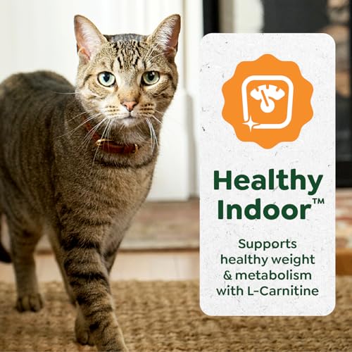 Greenies Feline Smart Purees Healthy Indoor Lickable Cat Treats with Real Chicken, 0.49 oz. Tubes, 20 Count