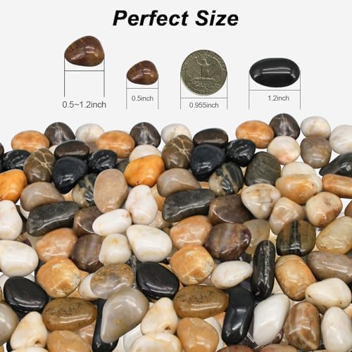 Succulent Rocks,Virekm River Rocks, Decorative Ornamental Pebbles Garden Landscaping Stones Gravel Filler for Home Decoration Flower Bed Fish Tank