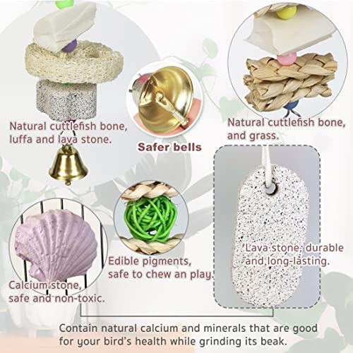 Parrot Chewing Toys (6 pcs) Natural Cuttlebone Bird Beak Trimmer Grinding Stone Lava Block Calcium Stone Bird Perch Cage Toys for Small and Medium