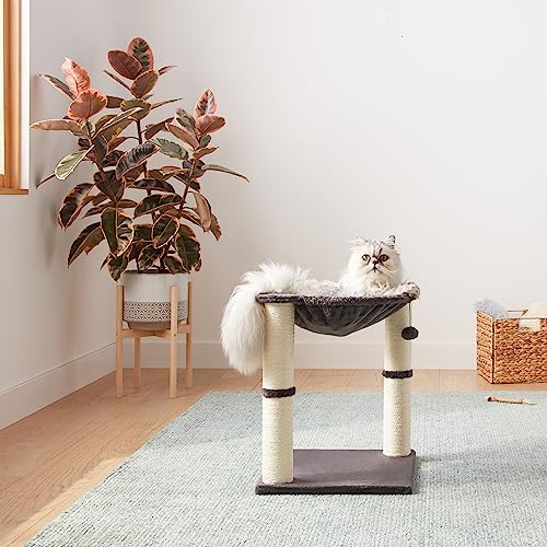 Basics Sturdy Cat Condo Tower with Hammock Bed and Scratching Posts, Interactive Hanging Ball Toy for Indoor Cats, 15.8" x 15.8" x 19.7", Gray
