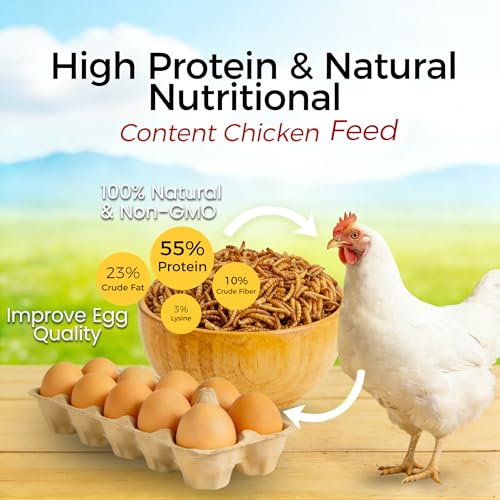 RANZ 2LBS Non-GMO Dried Mealworms for Chickens, High Protein Meal Worms, Premium Chicken Feed, Whole Large Mealworms for Blue Birds, Ducks, Fish