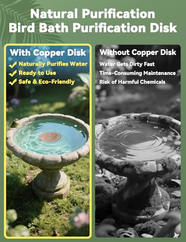 CNARIO Copper Disk for Bird Baths, Bird Baths 99.99% Pure Copper Cleaning Disk, Safe Natural Solution, 0.6mm Thick with Stable Triple-Point Support
