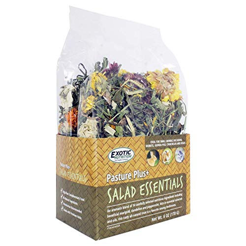 Exotic Nutrition Pasture Plus+ Salad Essentials - Healthy Natural High-Fiber Dried Flower & Herb Treat - Guinea Pigs, Rabbits, Chinchillas, Prairie