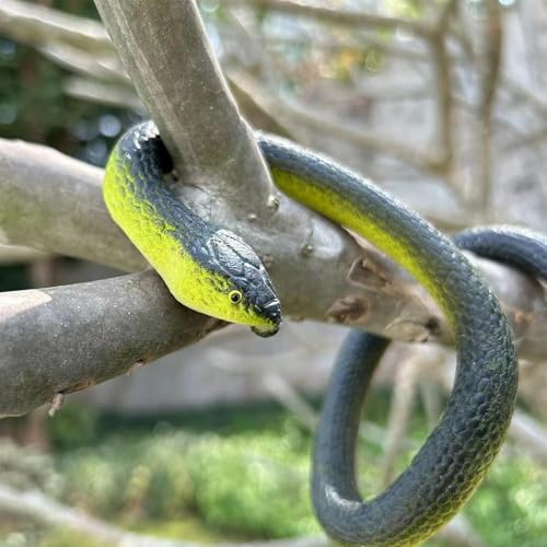Fake Snake Soft Rubber Snake Toy, 4 Pieces Realistic Plastic Snakes for Garden to Keep Birds Away, Novelty Toys for Playing Jokes Prank Stuff Props