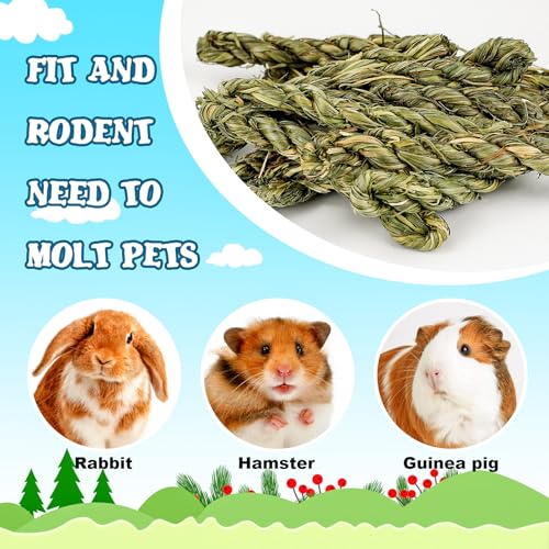 25pcs Rabbit Timothy Hay Toy for Bunny Small Animal Treats Natural Grass Stick Chew Toys Snacks Molar Teeth Grinding for Guinea Pigs Chinchillas