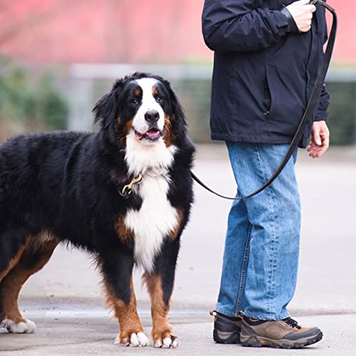 Leather Dog Leash 6ft x 3/4 inch,Strong Heavy Duty Genuine Leather Braided Dog Training Leash, Soft and Comfortable Leather Leash for Large Dogs